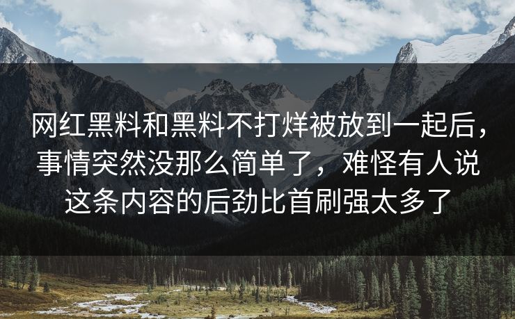 网红黑料和黑料不打烊被放到一起后，事情突然没那么简单了，难怪有人说这条内容的后劲比首刷强太多了