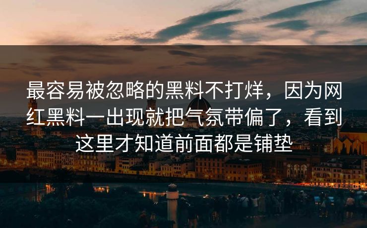 最容易被忽略的黑料不打烊，因为网红黑料一出现就把气氛带偏了，看到这里才知道前面都是铺垫