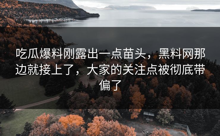吃瓜爆料刚露出一点苗头，黑料网那边就接上了，大家的关注点被彻底带偏了