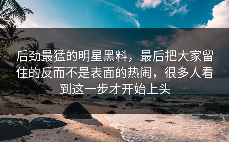 后劲最猛的明星黑料，最后把大家留住的反而不是表面的热闹，很多人看到这一步才开始上头