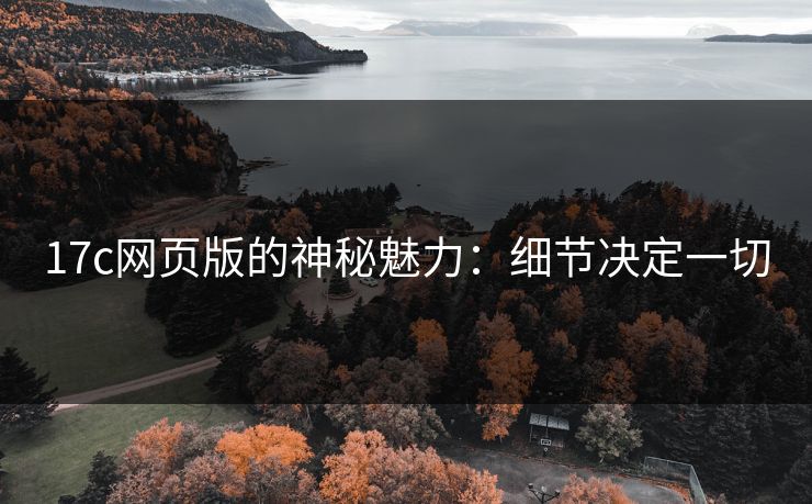 17c网页版的神秘魅力：细节决定一切