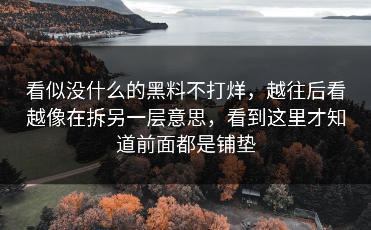看似没什么的黑料不打烊，越往后看越像在拆另一层意思，看到这里才知道前面都是铺垫