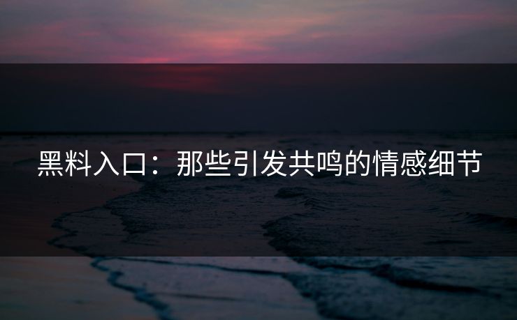 黑料入口:那些引发共鸣的情感细节 黑料入口:那些引发共鸣的情感细节